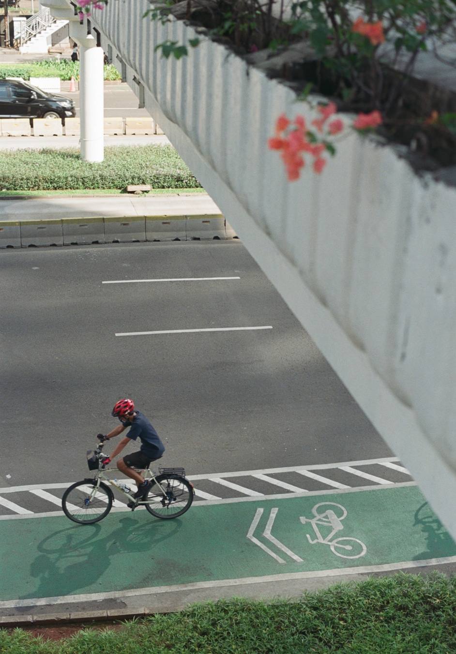 Morning Cyclist on Urban Bike Lane