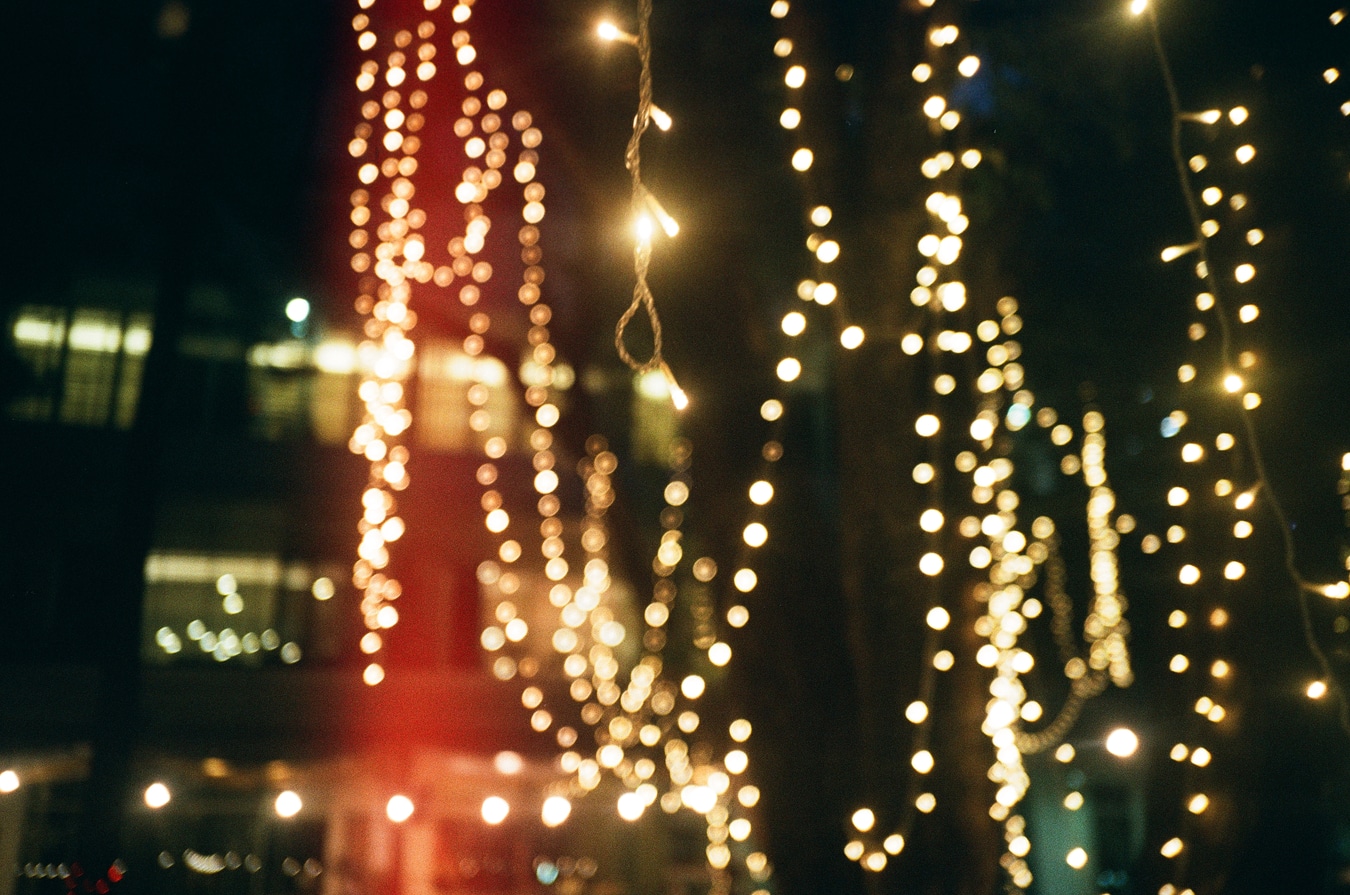 Bokeh String Lights Through Night Trees