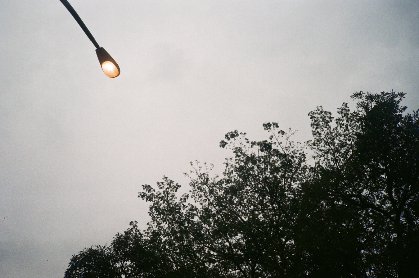 Dusk Streetlamp Above Silhouette Trees